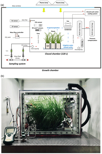 Fig. 1. Scheme of the closed growth chamber