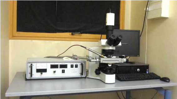 Figure 41
