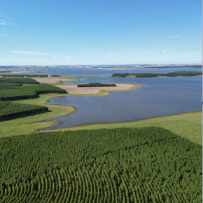 Vue aérienne de la pampa© A. Foucher / LSCE